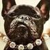 nOir Jewelry (@noirjewelry) Twitter profile photo