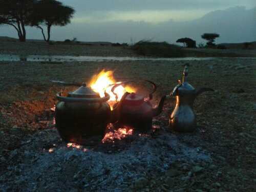 shaddad51's profile picture. 