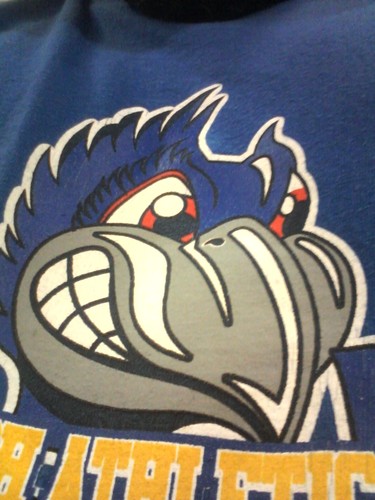 SpfdBluejays Profile Picture