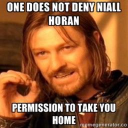 One Direction stole my sanity. Niall, Zayn, Harry, Louis, Liam. Demi Lovato is my inspiration. Ariana Grande is beautiful. LARRY. Niall girl :)