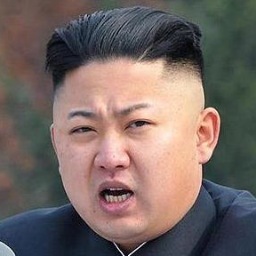 Nordkorean Profile Picture
