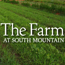 The Farm at South Mountain is AZ’s favorite escape. Lush trees, organic gardens, 3 restaurants, art galleries, and more. Just 8 mins from downtown Phoenix