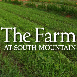 The Farm at South Mountain is AZ’s favorite escape. Lush trees, organic gardens, 3  restaurants, art galleries, and more. Just 8 mins from downtown Phoenix