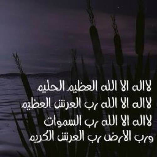 1234567890 ، ادخل اذكر الله واخرج.