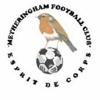 Metheringham FC (@metheringhamfc) 's Twitter Profile