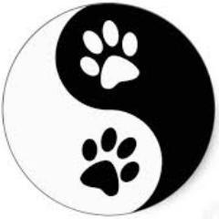 BHSShowChoir's profile picture. 