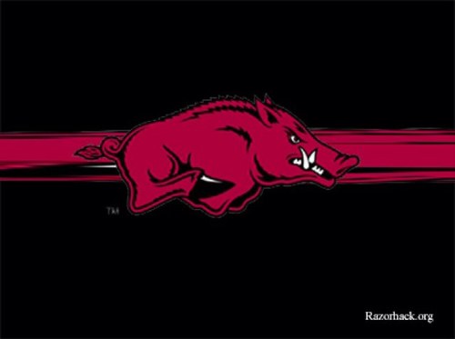 Christ Follower, Husband, Dad to two Sons, CPA, Razorback and Ouachita Baptist Tiger Fan.