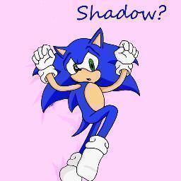 i'm sonic i'm gay but who are you to judge me #taken by @gay_shadow don't question my relationship i love him and i want to make him happy