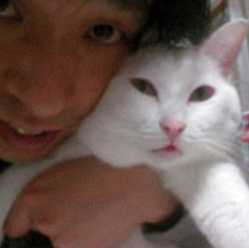 🐱猫多頭飼い【♂5♀5】 、📖自営DTP業、 ⚾️草野球選手、🎸元ベーシスト、 🤘METAL好き、👩⚖️アニメ好き、🎲必殺!好き、👩🏻ギザぴんく、🪭真•八重流... etc./うちの猫、よその猫、放し飼い猫、音楽、バンド、ROCK、美味しいもの、野球、ドラマ…などなど