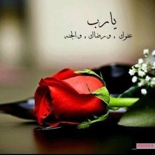 استغفر الله العظيم و اتوب اليه