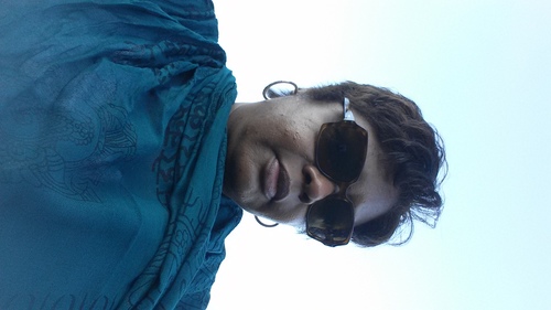 Media Maven
