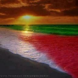 Nov 10th
#freePalestine