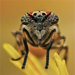 551Moreyra's profile picture. 