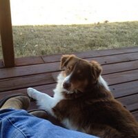 Dean Teykl (@callawaydeant) 's Twitter Profile