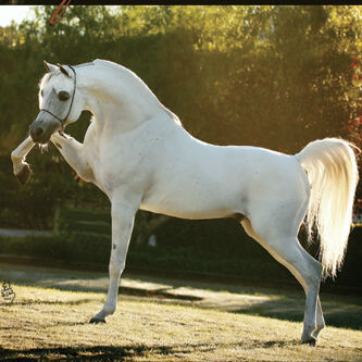 toolti12's profile picture. 