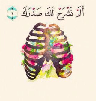 اللهم صلّ على محمّد *لا اله الا انت سبحانك اني كنت من الظالمين* حساب مُخصص للذكر ، الباس : 445566 ما احلل اي احد يغير الباس ✨.