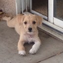 kara morrissey - @karabodara - Twitter