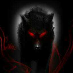 Lucho_Pazmino's profile picture. 