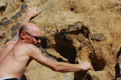 ProjectExplore's profile picture. Project Explore is a series of 60 day photography projects. August 1, 2013 will be the start date of the first 60 day project.