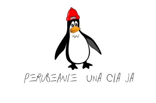 Perubeanie's profile picture. Vendemos gorros de lana en diferentes colores con frases juveniles.
