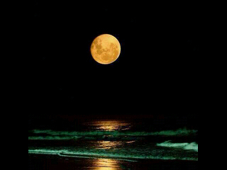 marlonw40's profile picture. 