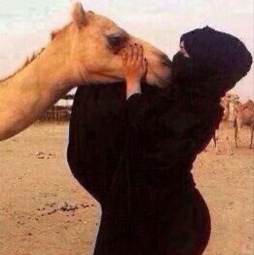 متابعيني الاعزاء اللي عنده برنامج البلارينقو يتوجه لروم اسمه [ عبث ] بيضوا وجه بنتكم واختكم شذى عشاني قولوا تم {{{{{ انتظركم