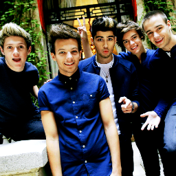 Love One Direction! And their music:) I Follow all my Directionars:)