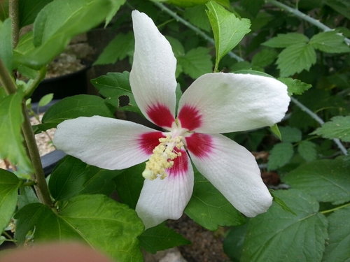 53736001's profile picture. 전북귀농귀촌학교 사무국장, 체험장