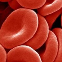 تبرع بالدم (@paleegyptians) Twitter profile photo