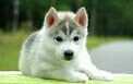 If you follow me ill follow back realy quick im a tweet peeps