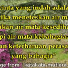 nbtech13's profile picture. 