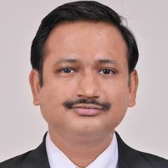 Practicing  Chartered  Accountant, Managing Partner At  C.P. Agrawal & Associates, Chartered Accountants