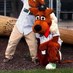 Logger Dog (@louiessidekick) Twitter profile photo