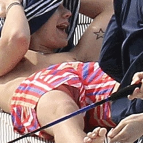 Harry styles penis.