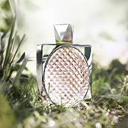 Welcome to Gupta Aromatics- We are Manufacturer & supplier a wide range of Industrial & Perfume Fragrances in Ghaziabad, UP, India