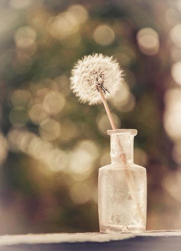 sweetorangesun's profile picture. 