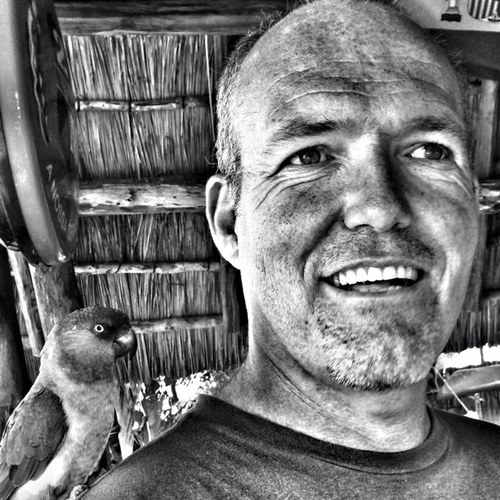 the4ie's profile picture. 