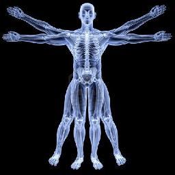 Fitness, sport, health