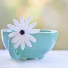 belinda_wanggg's profile picture. Osell-Looking for drop shipping sites collaborators all over the world. 
● We ship the product directly to your customer on your behalf.