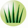 GreenfieldsSA's profile picture. GreenFields, innovative leader in artificial turf, is inspired by nature in developing the next generation of artificial grass: the green generation!