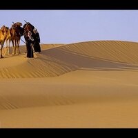 لاشط الفضلي (@alfadli_777) Twitter profile photo
