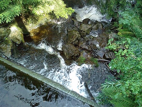Durch die Rückbesinnung auf die Natur finden wir auch zu uns zurück. (ChriGo 2013)