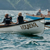 Appledore Gig Club (@appledoregig) Twitter profile photo