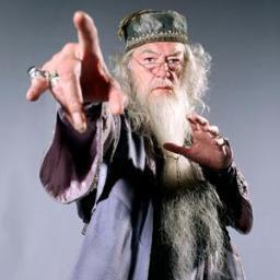 That old man with the long Beard and the greatest wizard of all time. Yeah bitch, you better follow me!