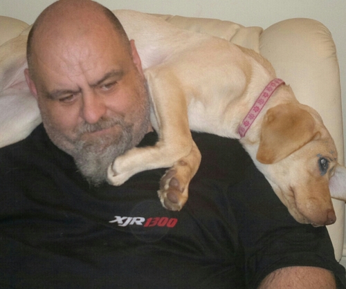 grizz1903's profile picture. Bikes,West Brom,Real Ale,Family& Friends BoingBoing!!!!!!!!!