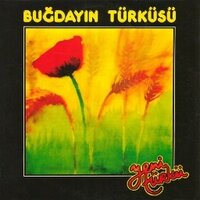 Bugdayin Turkusu (@bugdayint) Twitter profile photo