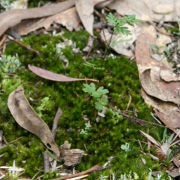 GreenIT2Day's profile picture. #greenbiz business advisory service  to help drive + profile #ecoinnovation efforts - accelerate the evolution of #greenliving.