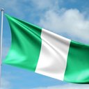 The Nigerian Patriot (@9jaeagle) Twitter