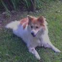 Kris Carson - @KrisCarson7 - Twitter