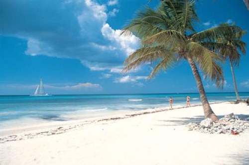 Based in Shenfield, we make your dream holidays come true.     Arranging tailor-made trips for the discerning traveller for over 40 years. 01277 223227.